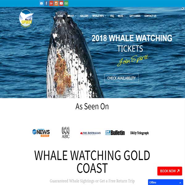 Spirit Whale Watching